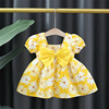 Dress, children's small princess costume, fashionable skirt, flowered, Korean style, children's clothing, wholesale