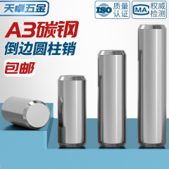 A3 炭素鋼両端サイドエッジ円筒ポジショニングピン gb119 固定ピンソリッドピン M3M4M6M8-M20mm