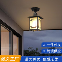 吸顶灯新中式户外防水别墅过道走廊凉亭庭院笼中式吊灯复古超亮