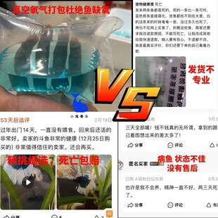 ̩�����~�鼆�~�^�p�~��ˮ�~�Ꭷ��ˮ�~���挙����w���BС�ͷ�ֳ