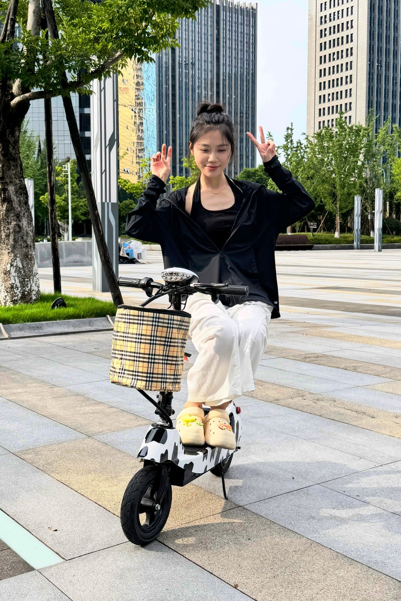 Suitable for Electric Scooters, Adult Work Scooters, Mini Electric Scooters for Girls, Foldable Dolphin Batteries