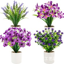 XT����Gֲ���ϻ��ٻ���ˇ�廨���b����YƷ�����bҾ�С����