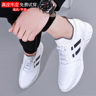 2022�¿���ʿ������6CM�n�泱 ���eƤЬС��Ь����Ь��Դ�^�S��
