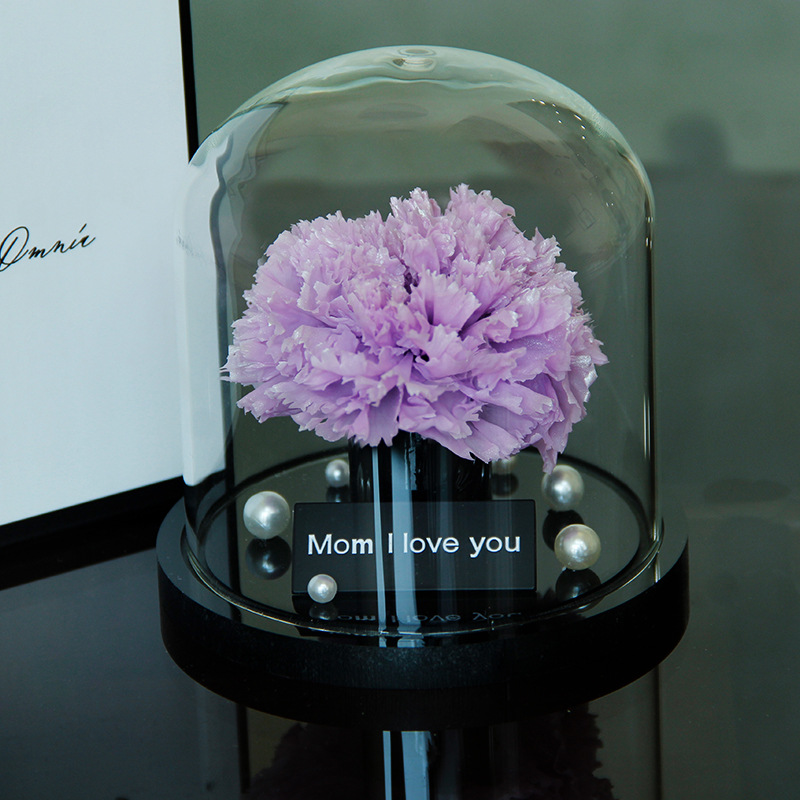 Clavel estilo púrpura