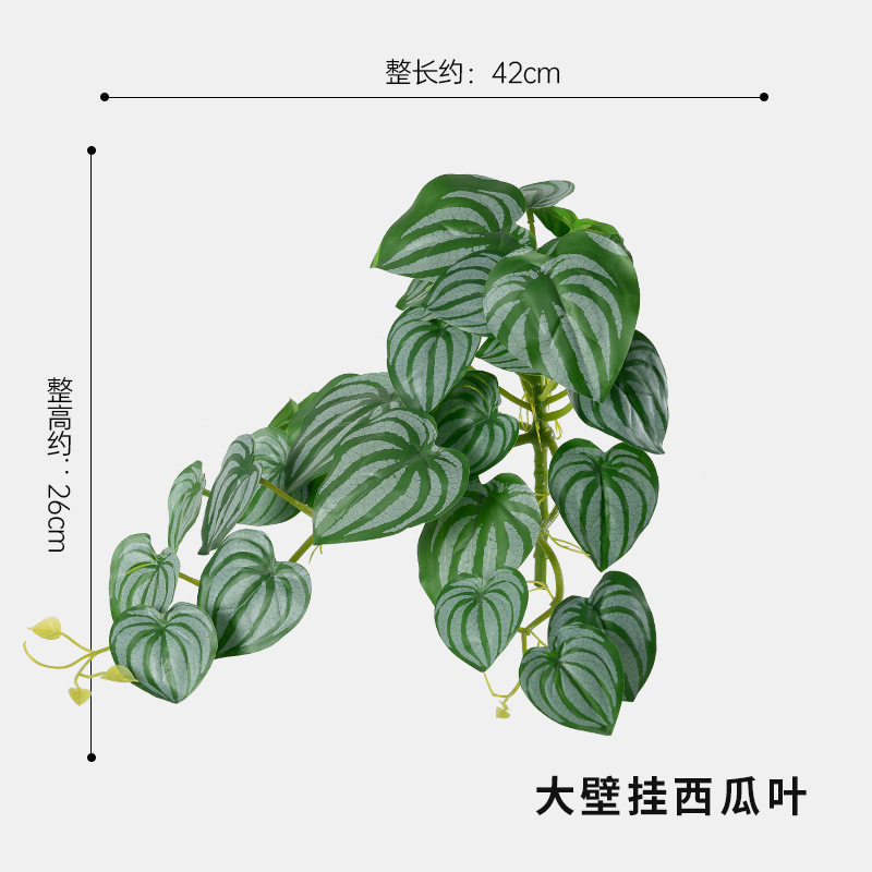 큰 벽걸이 수박 잎