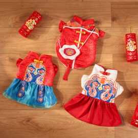 宠物狗狗新中式新年战袍裙子可爱喜庆厂家新品