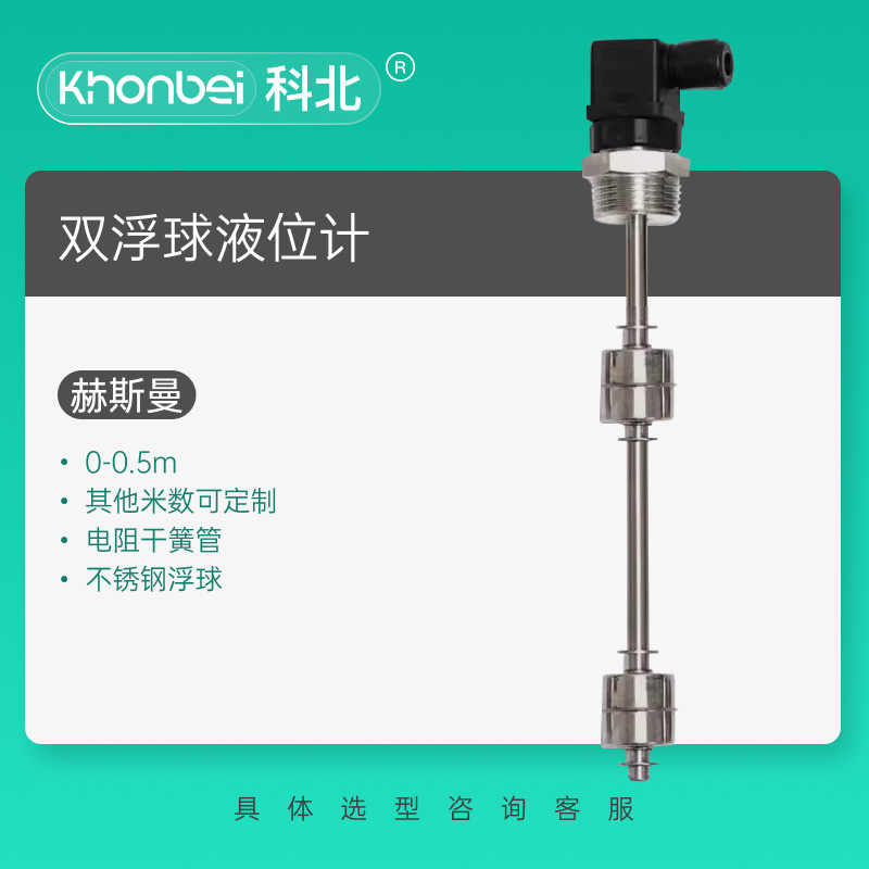 Kebei 防爆フロートレベルスイッチ磁気投入型センサートップ/サイドマウントリードスイッチメーター|undefined