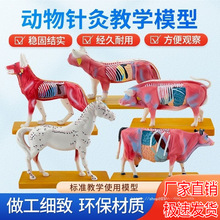 �m��춹�؈�iţ�R�wᘾ�ģ��ȮѨλ����ᘾīF�t�̌W�������ģ��