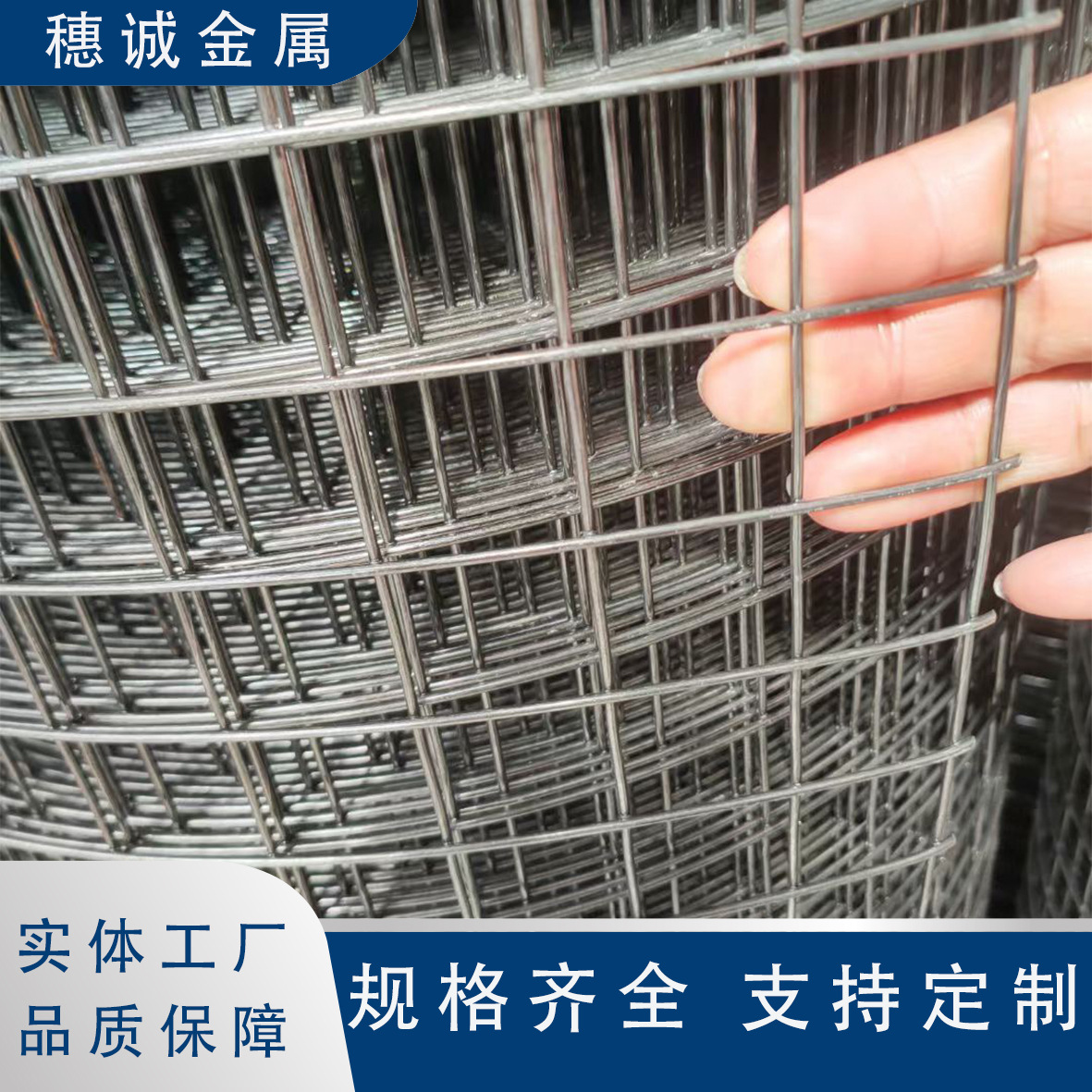 厂家供应钢丝网电焊网建筑工地内外墙面抹灰防裂焊接镀锌网铁丝网