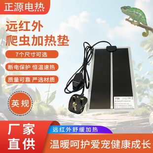 ӢҎ���x����ӟ�|���x���ðl��|����t��PET̼Ĥ�l��Ƭ���l