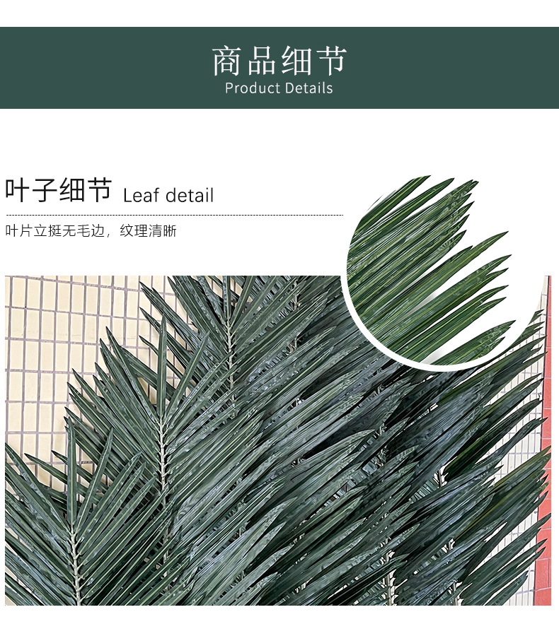 详情 (8).jpg