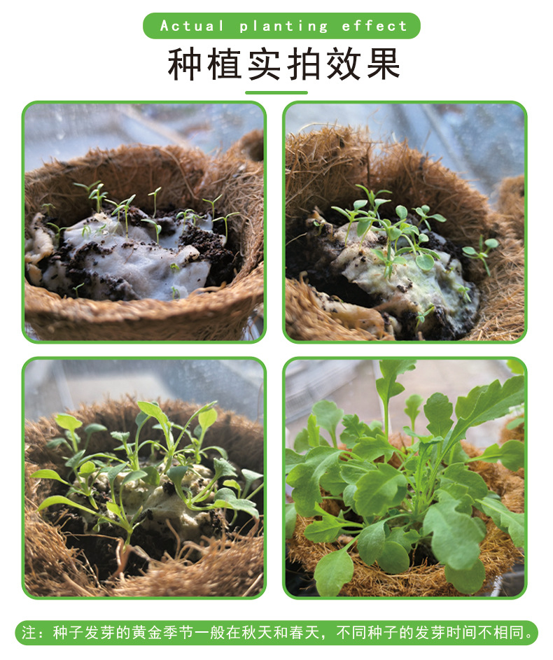 毛边种子纸定做 节日活动手工礼品特种纸圆形毛边纸种子卡片厂家-阿里巴巴