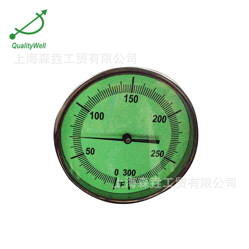 ҹ�����˫�����¶ȼ� ҹ����� Glow in the dark GDT500C