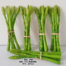 仿真芦笋模型假青笋春笋竹笋装饰道具摆件