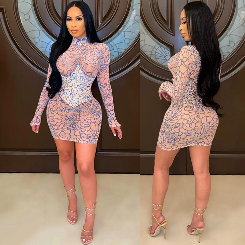 2025 Summer Mesh dress Women's High Neck Printed Long Sleeve Distinctive Tight Hip Skirt Slim-Fit Perspective Skirt