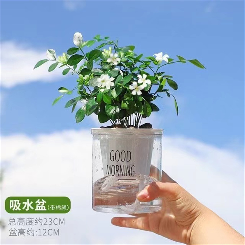 [동일 스타일의 저렴한 가격] 15-20CM Jiulixiang 15-20개 선택(북유럽 스타일 이른)