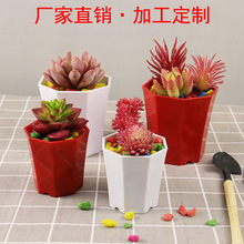 �S�Ҷ��ƶ���ֲ�����ϻ����֬PP���ㄓ�⺆�s�˽��f���������