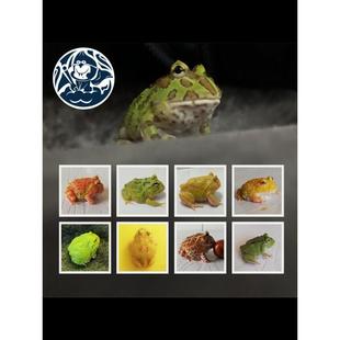 �������ܻ��w�����^�p���S��G�ǲ�ݮ����Ƥ����Ĩ�走�S�Ѡ�����