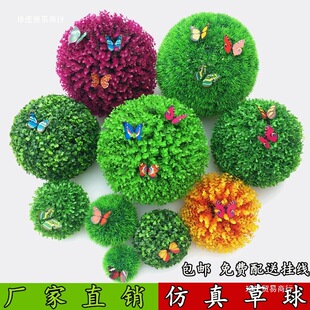 �������ϻ��������m��ƺ��ֲ�����^�ݙ���������b�