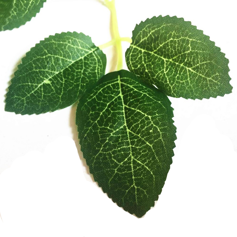 9230241294_1652598310