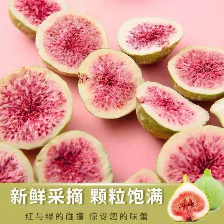 厳選されたフリーズドライドライイチジク 500g 脱水 すぐに食べられる果物と野菜のチップス ベーキング原料 妊婦向けスナック フルーツ|undefined