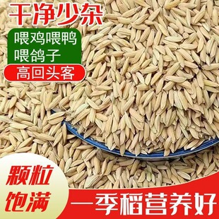�r�ұ���ˮ�����r����u�Z�������Ƀ����Ƚ����ι�u���Zʳ����