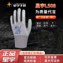 ������ƷL508���y���z�ڱ�������ĥ����͸��ڄ��������|���ع���