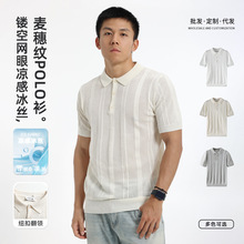 跨境男装短袖polo衫男高级感夏季冰丝薄款翻领商务休闲男士针织衫