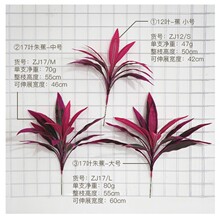 ��ʽ�羳���R�d�ָ���Ѫ�����ľ�~�B��ާ��콶�G�����~�쾰�b�