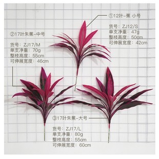 ��ʽ�羳���R�d�ָ���Ѫ�����ľ�~�B��ާ��콶�G�����~�쾰�b�