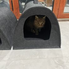 ؈C؈agļͨ؈؈\ëֲ|؈؈e