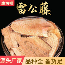 雷公藤 大猫脷 黄藤根 断肠草 南蛇根 中药材雷公藤 冷背量大优