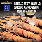 原装进口新西兰鳌虾南极深海海螯虾斯干比Scampi日料刺身1/2/3号