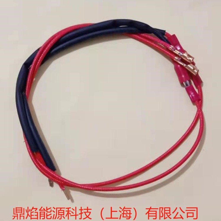 FS20离子线   利雅路燃烧器专yong