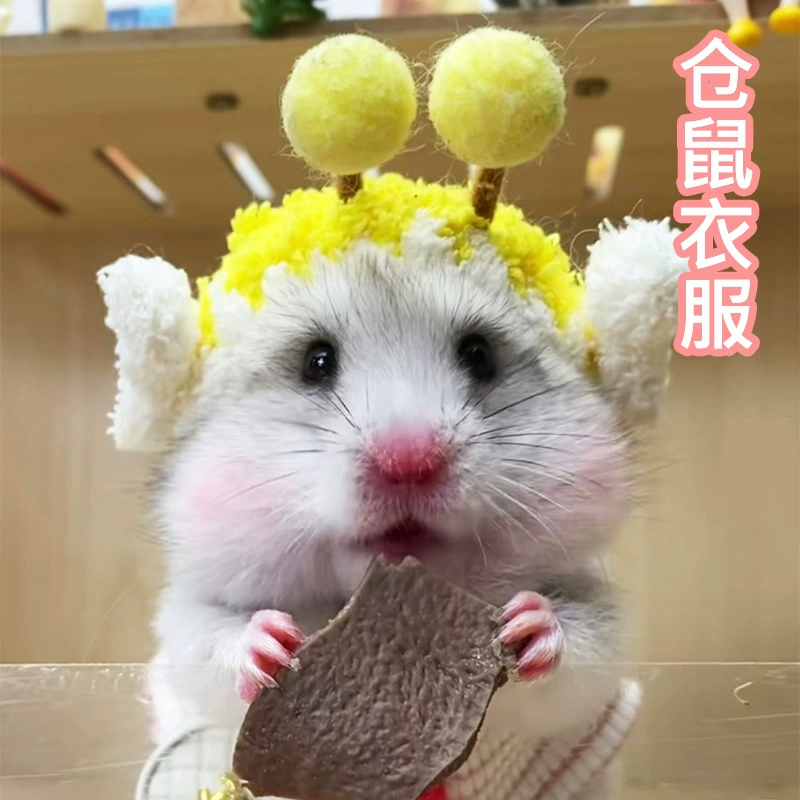 Hamster clothes Four Seasons General Clothing Skirt Small Pet Dress Golden Film Bear Dutch Pork Flower Branches Rats Clothing