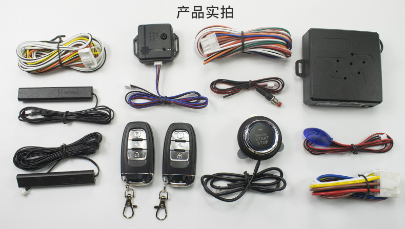 Model B Export Type: Car Keyless Entry + One-Button Start + Trunk + Vibration Alarm + Mobile Phone Control