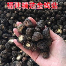 福建古田农家干货土特产500g新货蘑菇冬菇金钱菇剪脚肉质厚小香菇