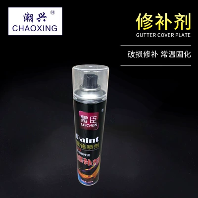 Factory Direct Sales of Lei Chen Avtomobil boyası