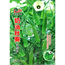 奶油秋葵种子 农田菜地农户种植味道鲜美口感爽滑黄秋葵籽