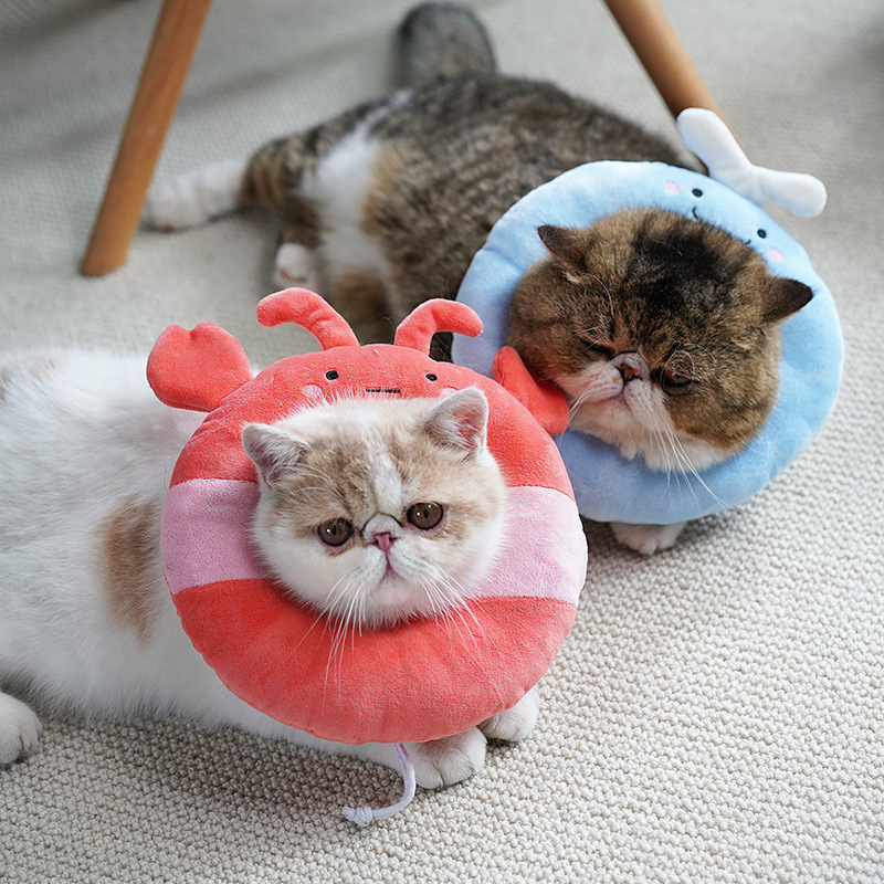在庫あり エリザベスサークル 猫首輪 猫用柔らかい布首輪 首輪 舐め防止 無精卵用品 かわいいヘッドギア|undefined