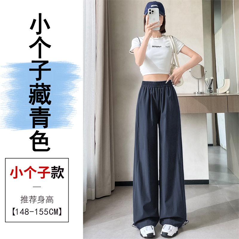 Navy blue small model
