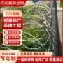 园林攀爬果园304铁刺网