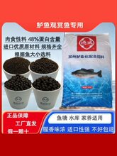 ͨ���~����|�~�^�p�~�\����ʳ�Ըߵ��׸�ˮ��������Bֳ�����w��