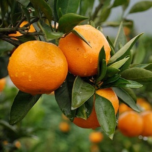 �o��ɳ�ǽۘ�������Ϸ������Nֲ���Ӽ޽Ә���̽�ͥԺ���Թ�����