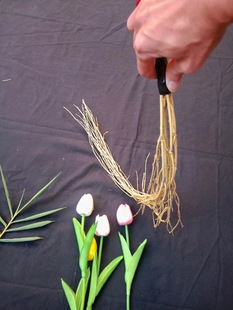 Soft Bamboo Sticks Teacher Education Sticks Ruler Tutoring Bamboo Whip Household Bamboo Branches Rattan Whip Stick