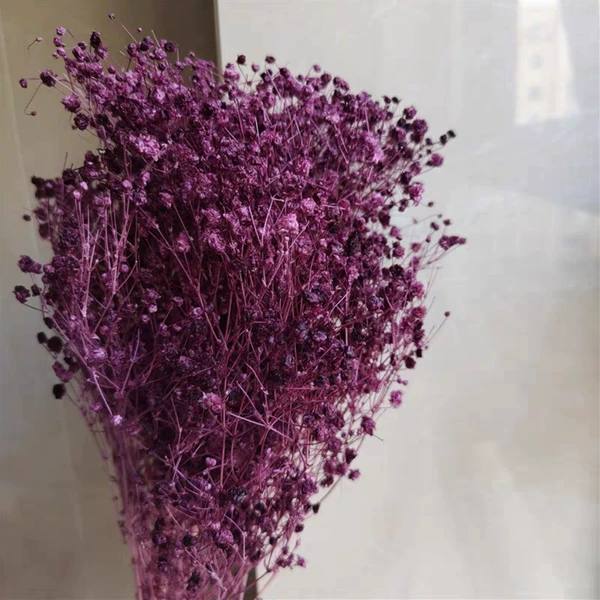 Purple, 100 gram