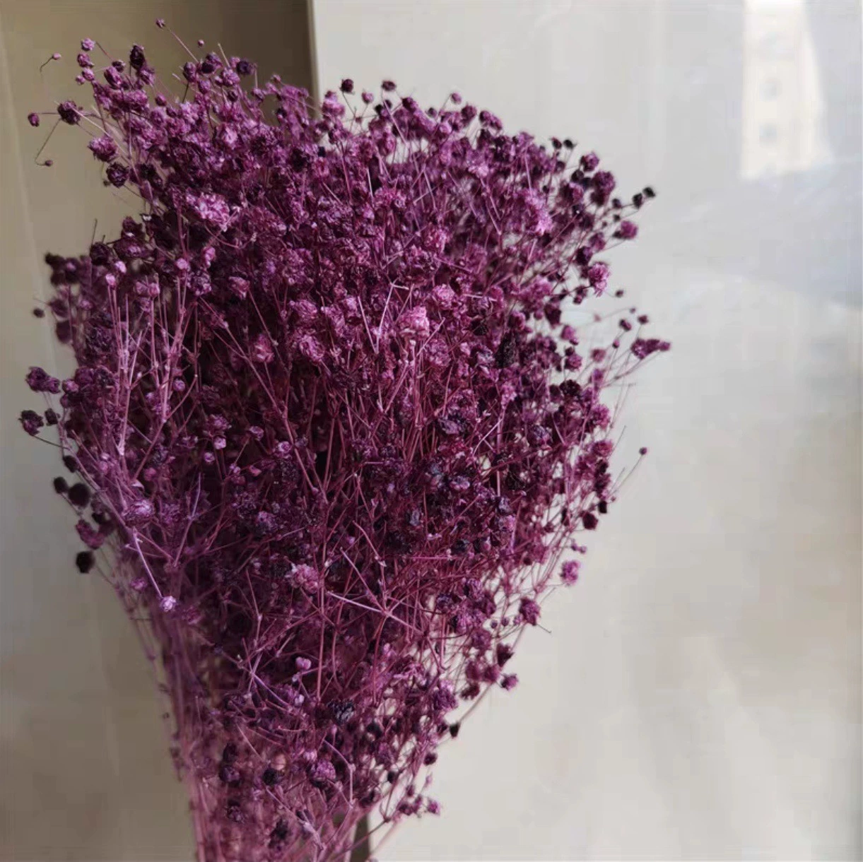 [【A级漂白满天星】梦幻星永生花装饰花束DIY材料 云南基地直销]
