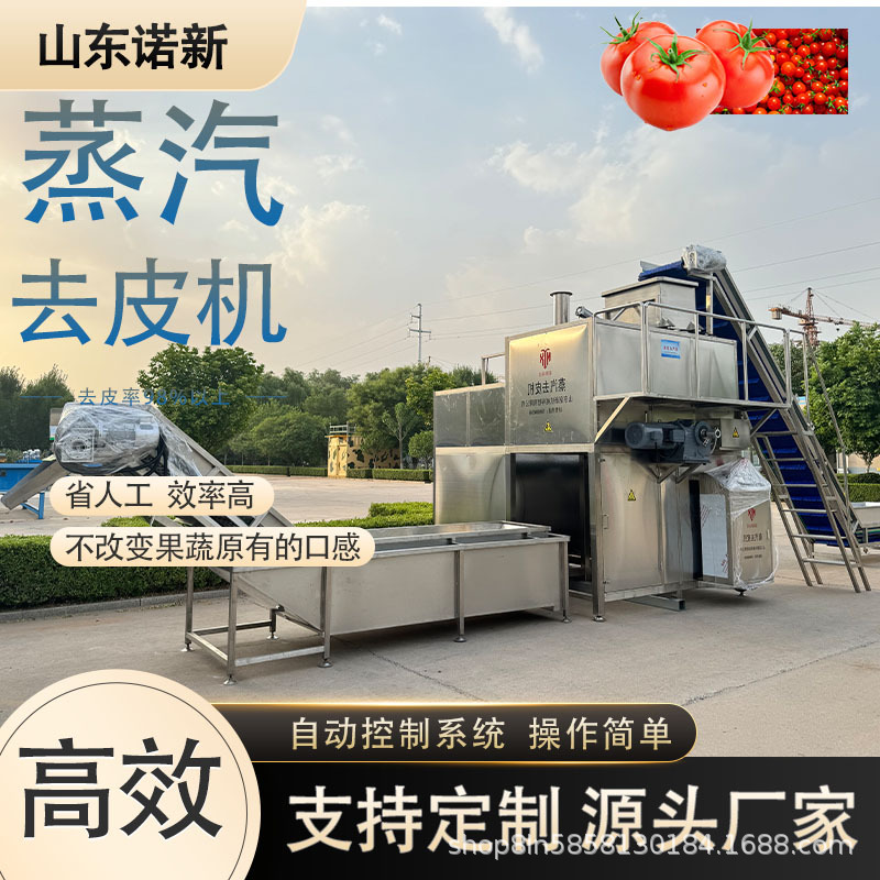 西红柿蒸汽去皮机 圣女果快速爆皮设备  西红柿酱加工爆皮设备厂