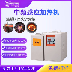 小型中間周波誘導加熱設備省エネ環境保護1600 ℃ 溶融銀金属中間周波溶融炉スポット機