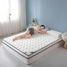 记忆床垫家用软垫双人加厚学生宿舍单人榻榻米记忆立体垫褥子铺底